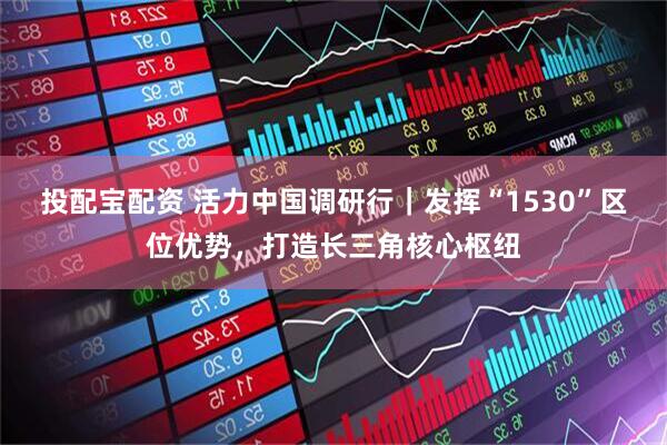投配寶配資 活力中國調研行｜發揮“1530”區位優勢，打造長三角核心樞紐