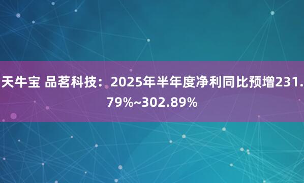 天牛寶 品茗科技：2025年半年度凈利同比預(yù)增231.79%~302.89%